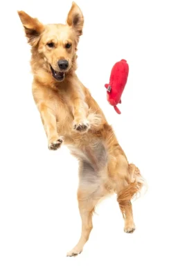 Pepper-Toni - Dog Toy