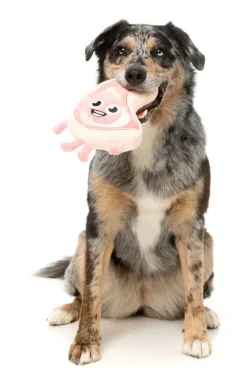 Piggy Smalls - Dog Toy