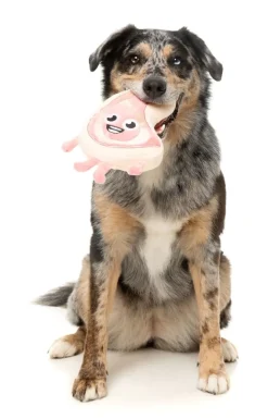 Piggy Smalls - Dog Toy