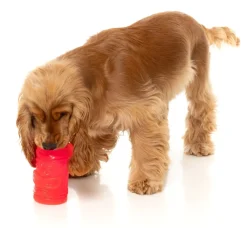 Pina Coolada Freeze - Interactive Chew Toy