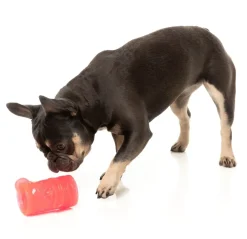 Pina Coolada Freeze - Interactive Chew Toy