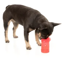 Pina Coolada Freeze - Interactive Chew Toy