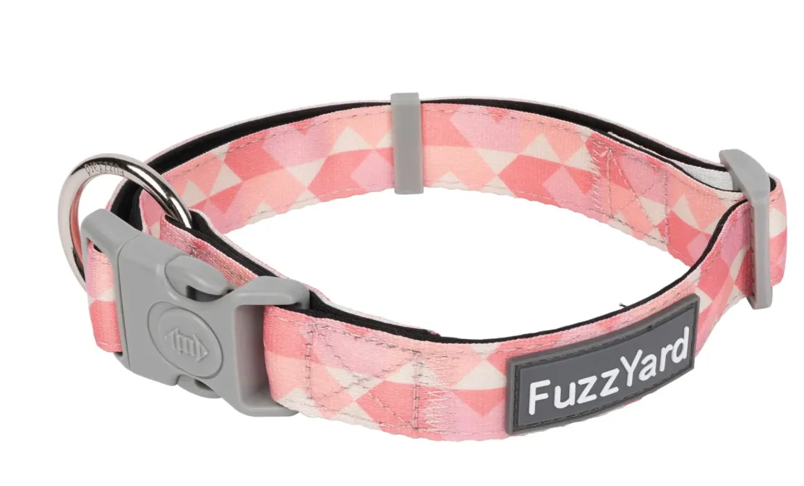 Pink Lemonade - Dog Collar