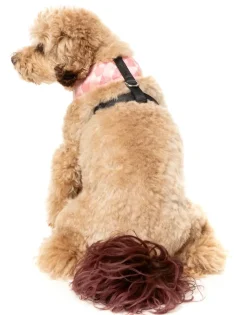 Pink Lemonade - Dog Harness