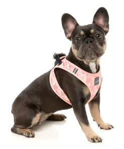 Pink Lemonade - Dog Step In Harness