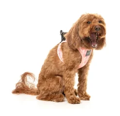 Pink Lemonade - Dog Step In Harness
