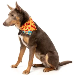 Pizza Lyf Bandana