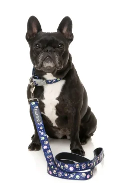 Pluto Pup - Dog Collar