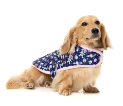 Pluto Pup - Wrap Vest