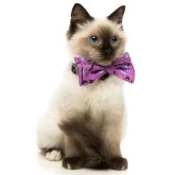 Prince Pet Bow Tie