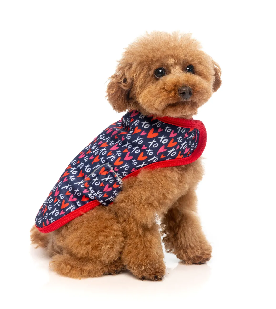 PS I Love You Wrap Vest