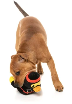 Quackie Chan - Dog Toy