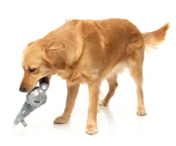 Rack Off Rat - The Yeetz - Dog Toy