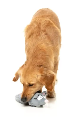 Rack Off Rat - The Yeetz - Dog Toy