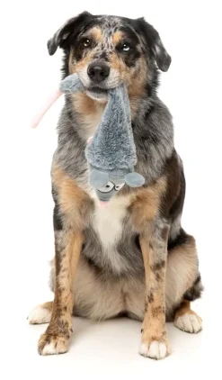 Rack Off Rat - The Yeetz - Dog Toy