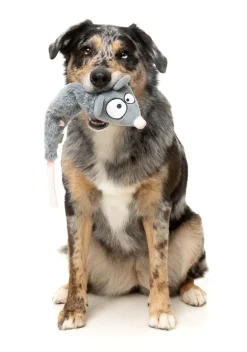 Rack Off Rat - The Yeetz - Dog Toy