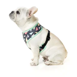 Rad Dog Harness