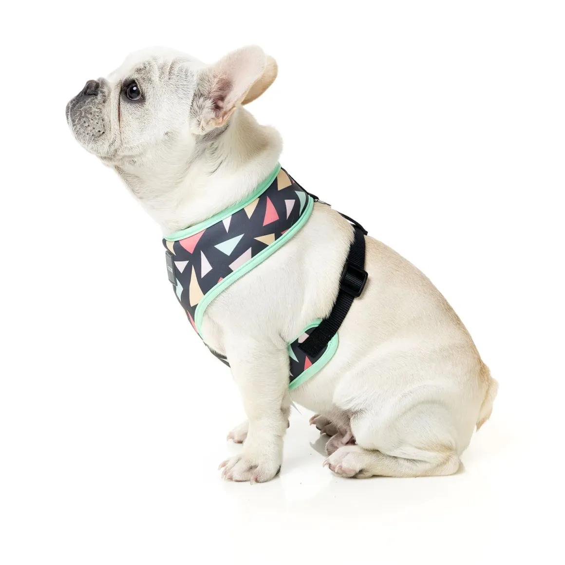 Rad Dog Harness