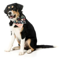 Rad Pet Bandana