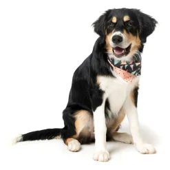 Rad Pet Bandana