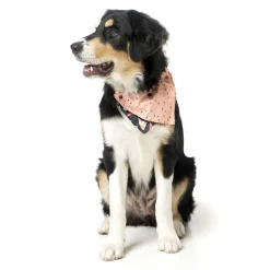 Rad Pet Bandana