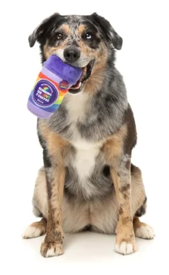 Rainbow Pawfee - Dog Toy