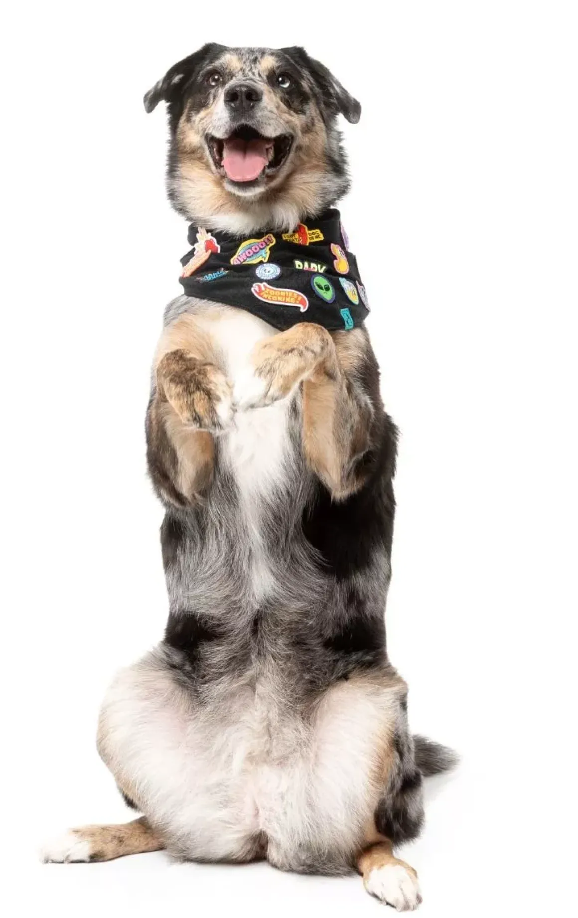 Rep It - Merit Bandana