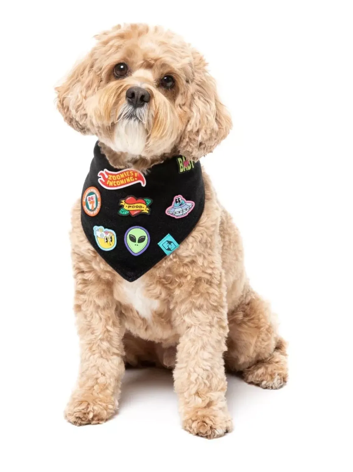 Rep It - Merit Bandana