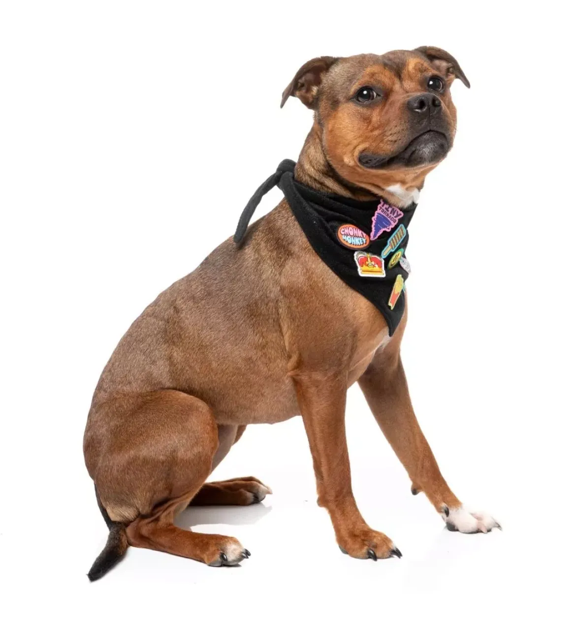 Rep It - Merit Bandana