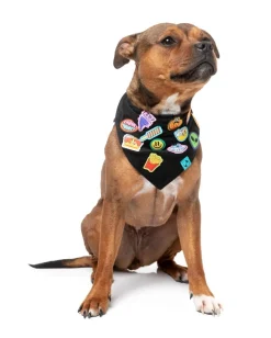 Rep It - Merit Bandana