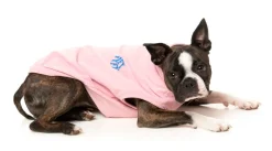 Rock It Sweater - Pink