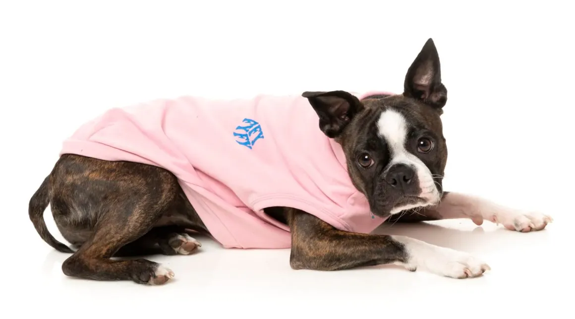 Rock It Sweater - Pink