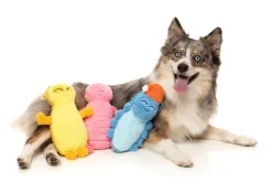 Rolly The Bed Bug (Blue) - Dog Toy