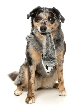 Run Along Raccoon - The Yeetz - Dog Toy