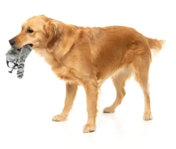 Run Along Raccoon - The Yeetz - Dog Toy