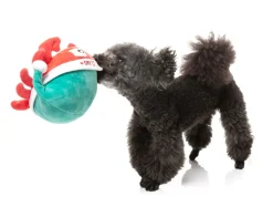 Santa Claws - Dog Toy