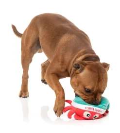 Santa Claws - Dog Toy