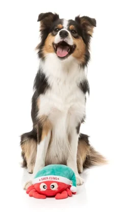 Santa Claws - Dog Toy