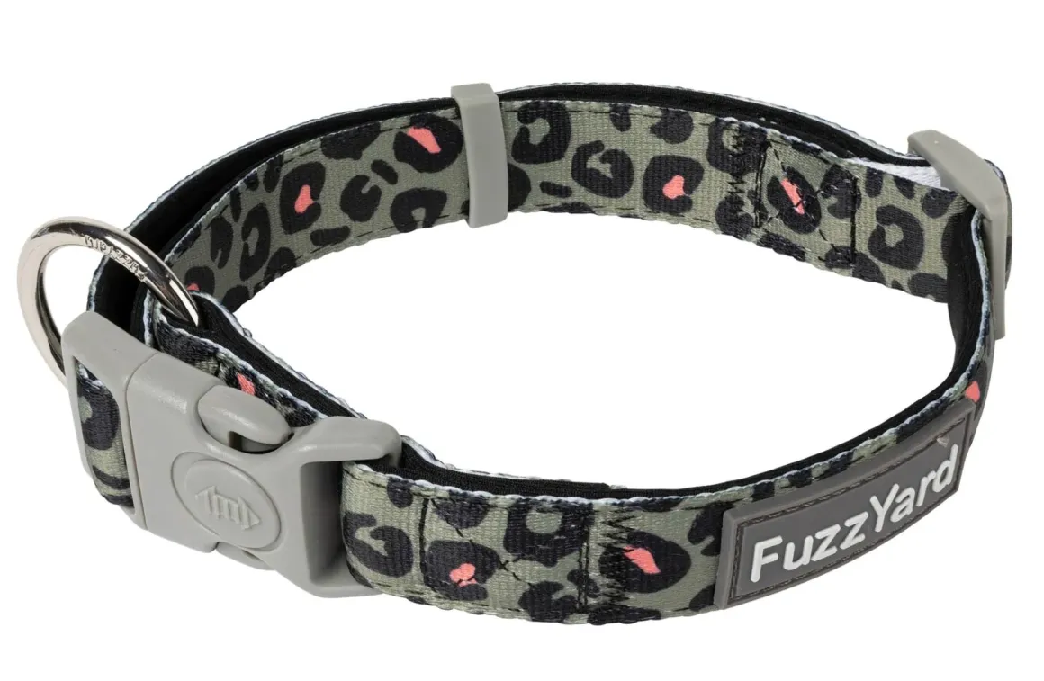 Savanna - Dog Collar