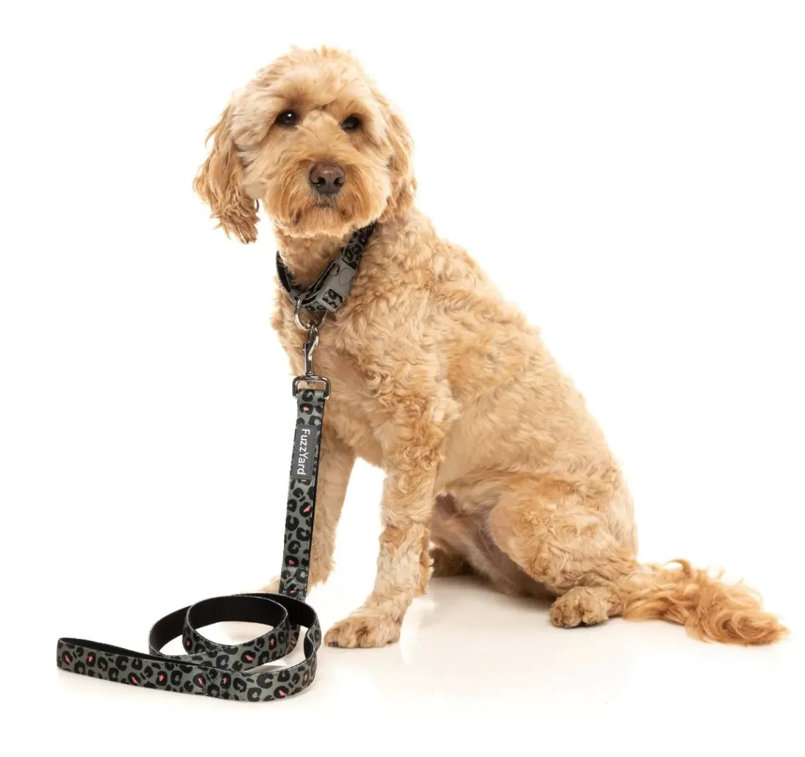 Savanna - Dog Collar