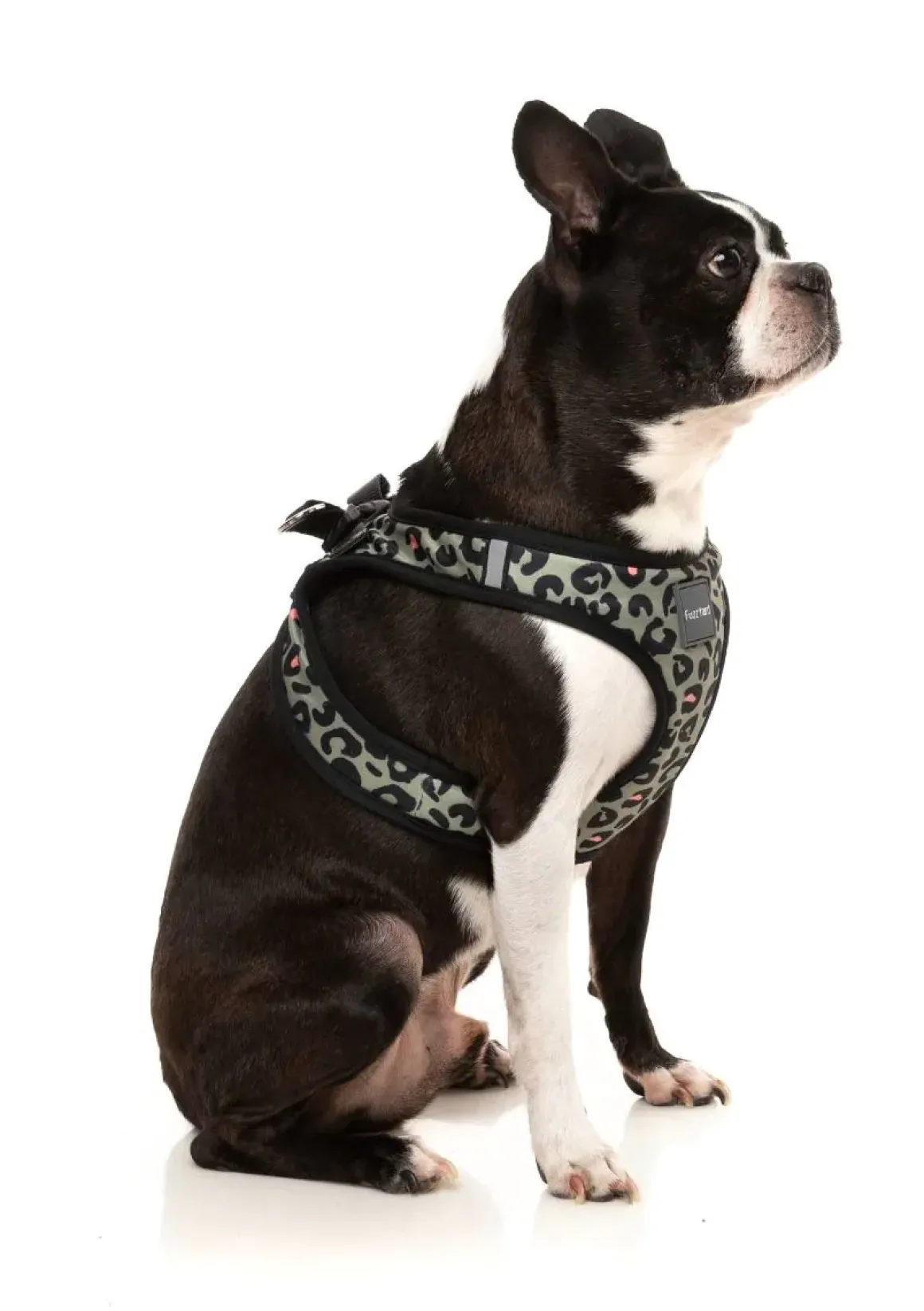 Savanna - Step In Harness