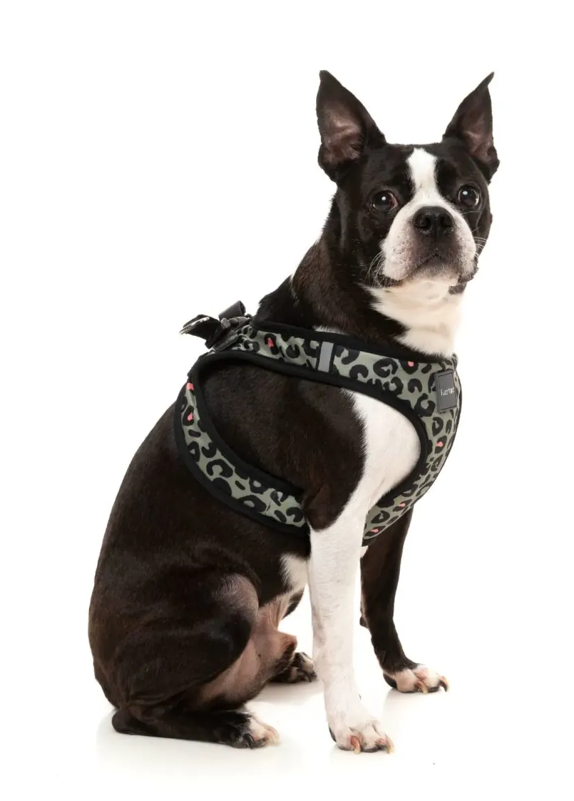 Savanna - Step In Harness