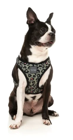 Savanna - Step In Harness