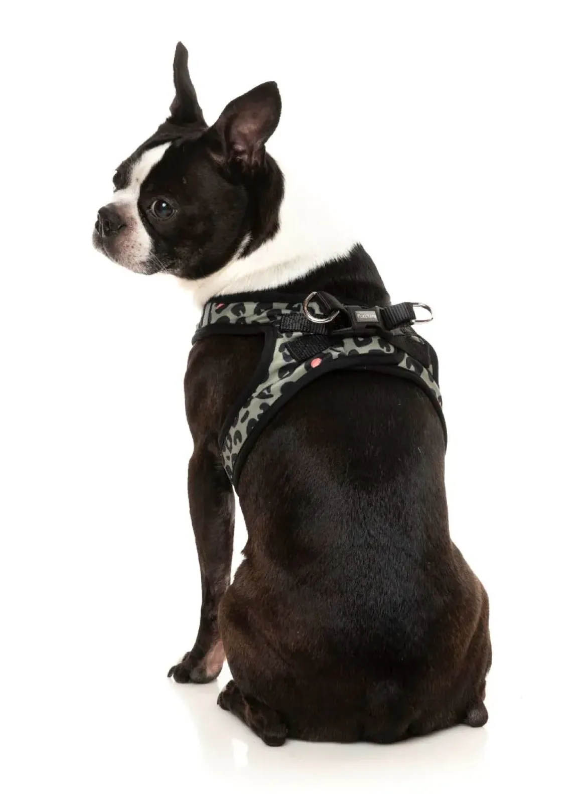 Savanna - Step In Harness