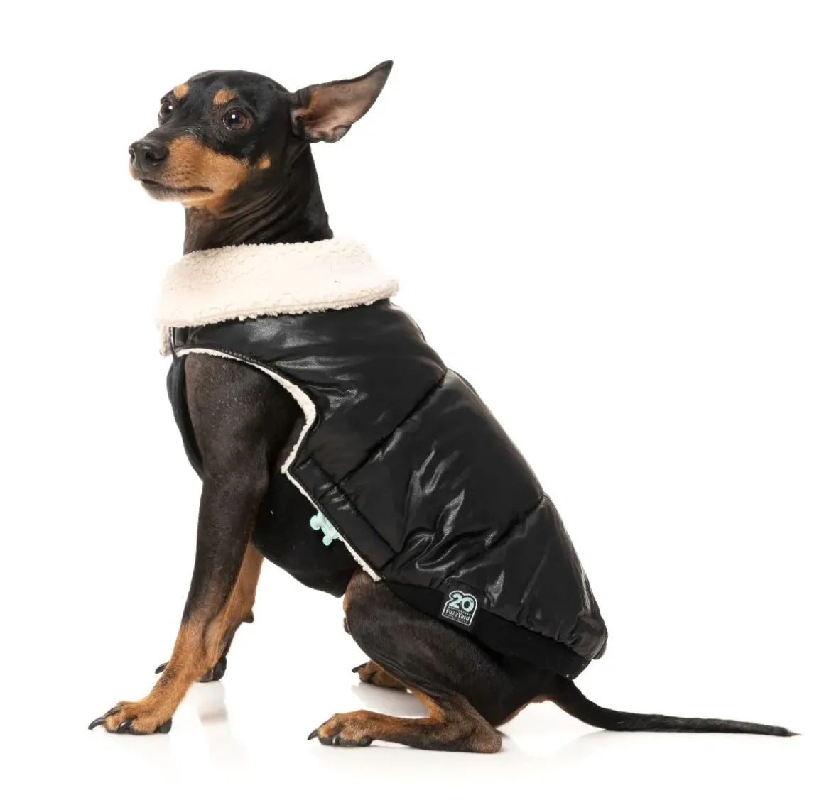 Sebastian Jacket - Black