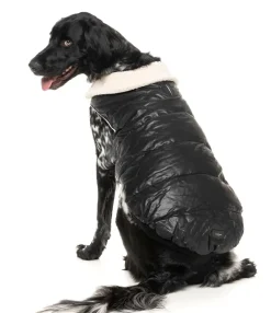 Sebastian Jacket - Black