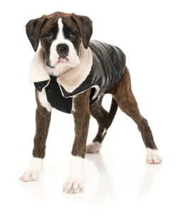 Sebastian Jacket - Black