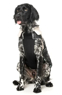 Sebastian Jacket - Black