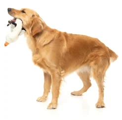 See-ya Seagull - The Yeetz - Dog Toy