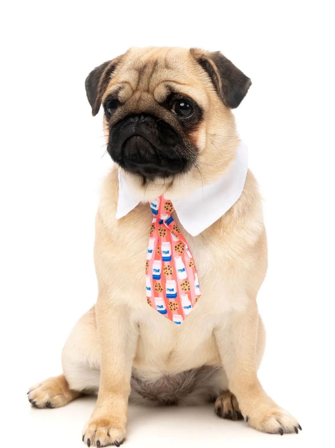 Sir Sleepy Time Necktie